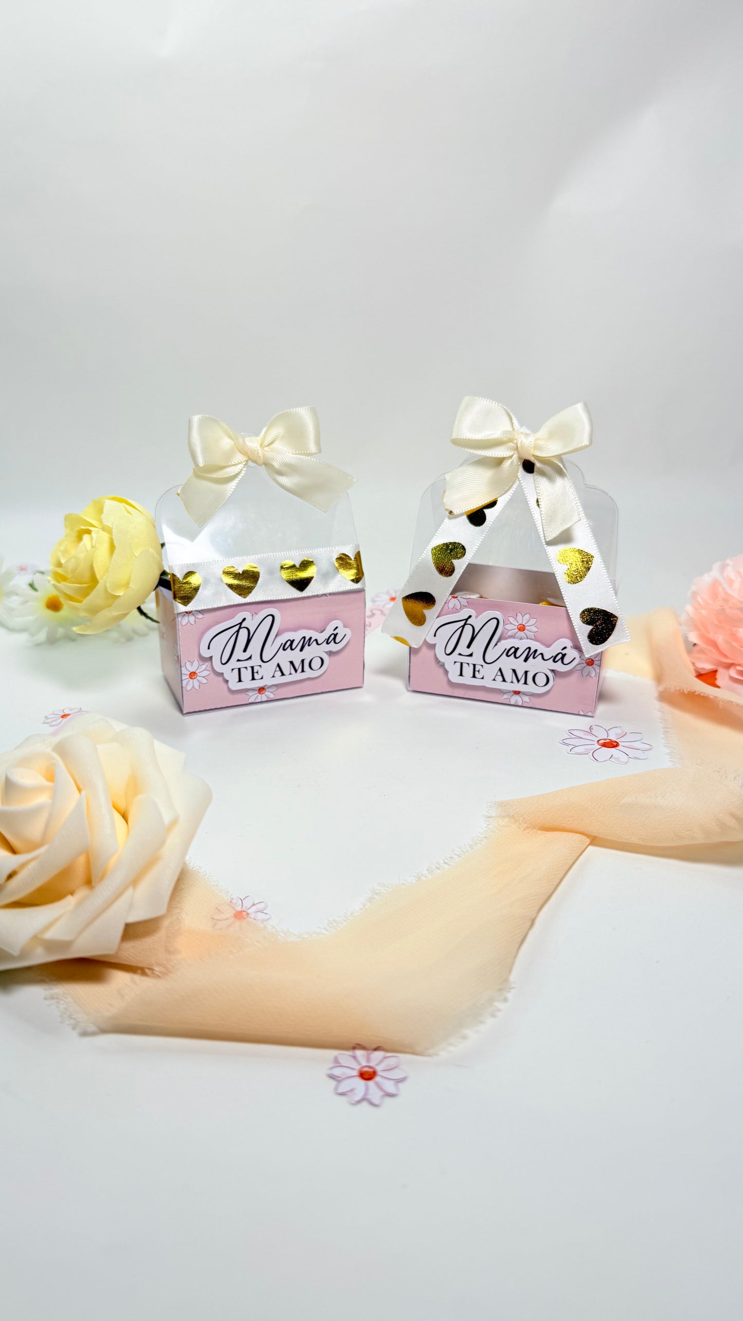 Coquette Clear Box