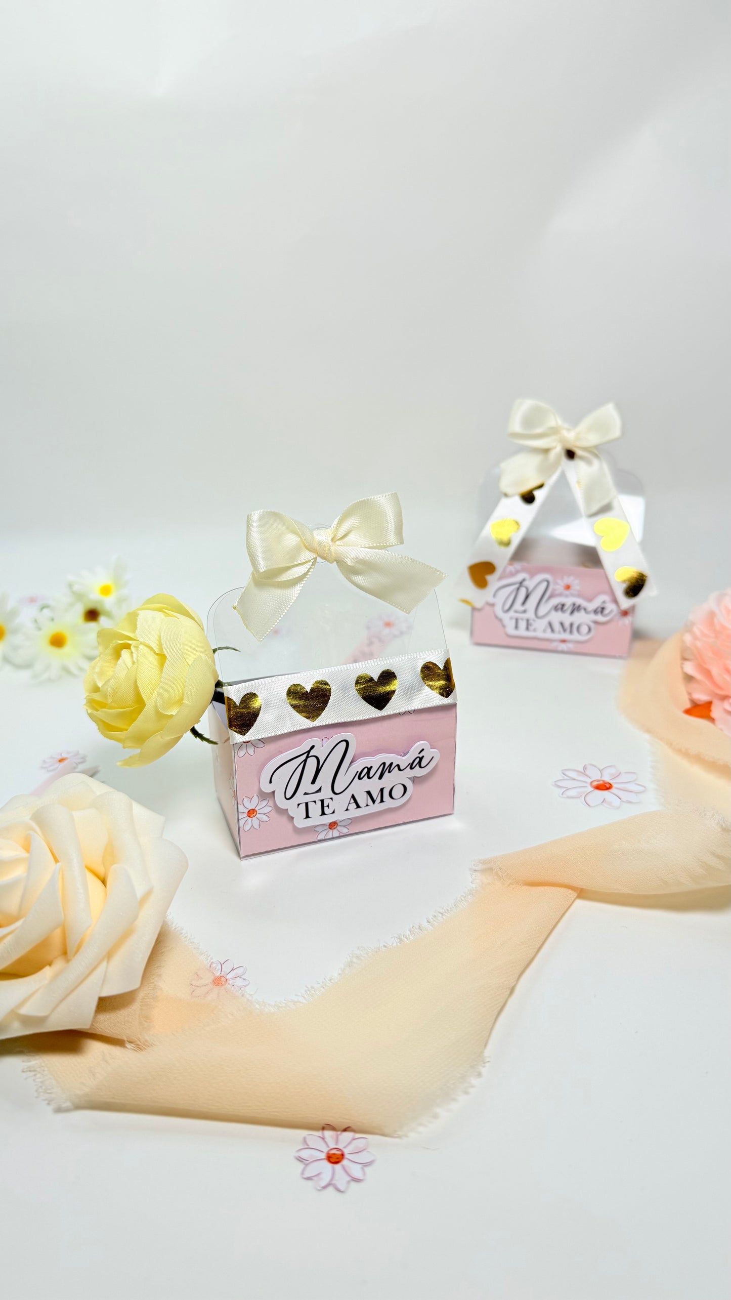 Coquette Clear Box